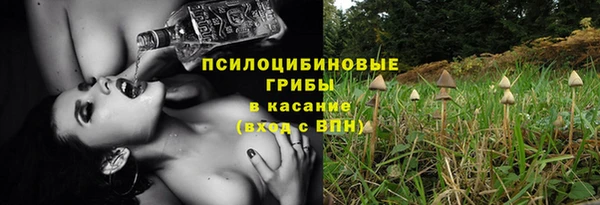 стаф Белокуриха
