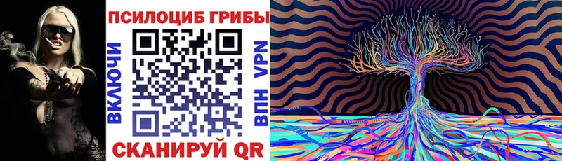 omg зеркало  Рудня  Псилоцибиновые грибы мухоморы  купить наркотики сайты 